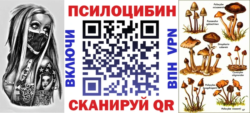 Псилоцибиновые грибы Psilocybine cubensis  MEGA tor  Тосно 